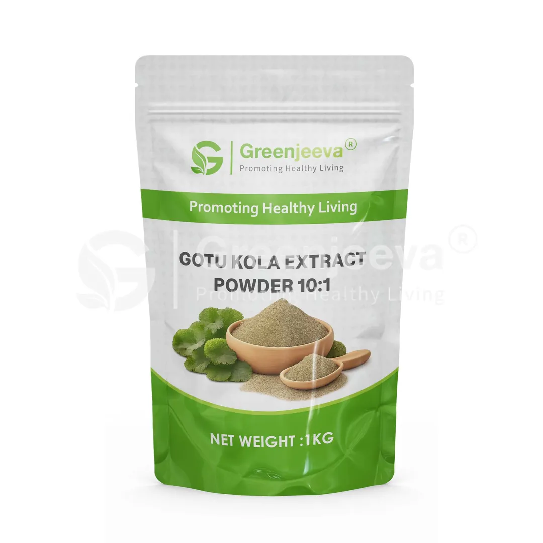 Gotu Kola Extract Powder 10 1 Pouch Gotu Kola Extract Powder 10 1 Pouch